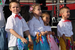 tn img 6733