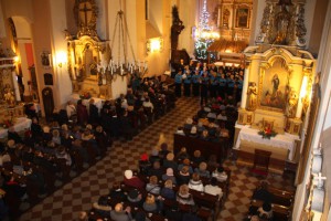 tn img 4982