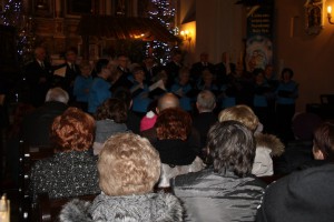 tn img 5001