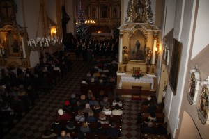 tn img 5036