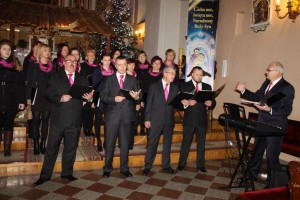 tn img 5061