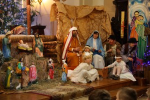 tn img 5088