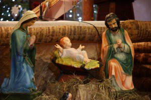 tn img 5092