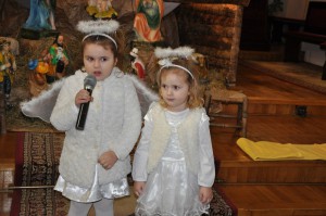 tn dsc 0201