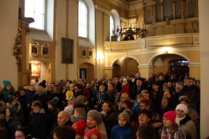 tn img 5113