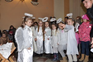tn dsc 0235