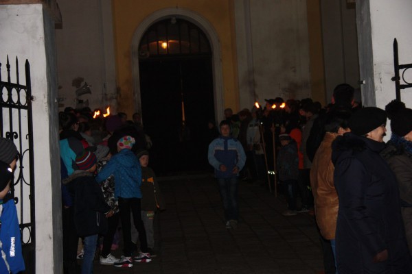 tn IMG 5718