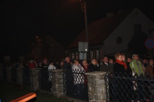 tn IMG 5721