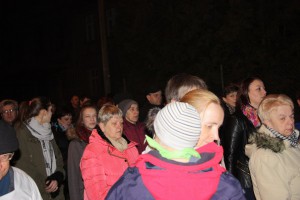 tn IMG 5739
