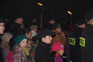 tn IMG 5741