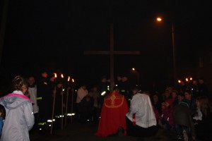 tn IMG 5745