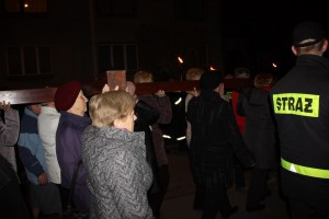 tn IMG 5752