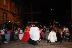 tn IMG 5786