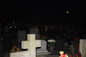 tn IMG 5843