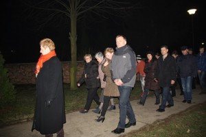 tn IMG 5851