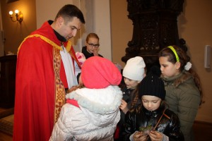 tn IMG 5885