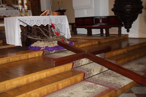 tn IMG 5890