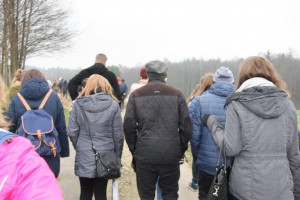 tn IMG 5893