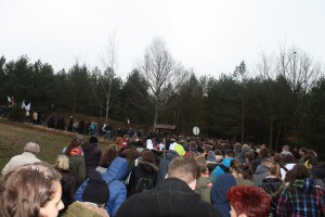 tn IMG 5942