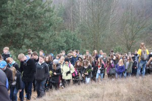 tn IMG 5951