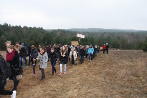 tn IMG 5954