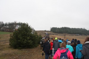 tn IMG 5956
