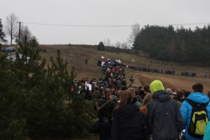 tn IMG 5957