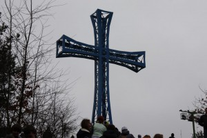 tn IMG 5965