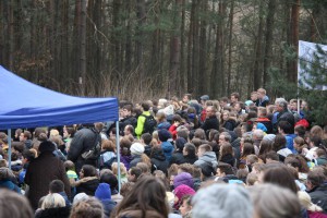 tn IMG 5975