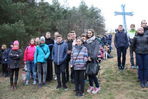 tn IMG 5981