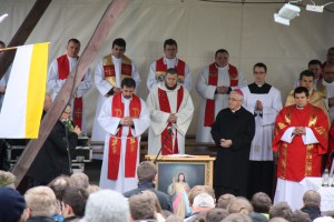 tn IMG 5997