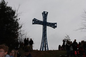 tn IMG 6028