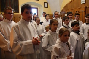 tn IMG 6113
