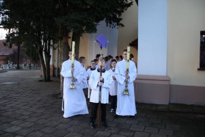 tn IMG 6115