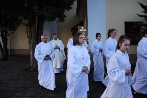 tn IMG 6117