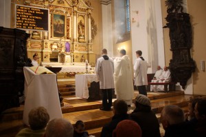 tn IMG 6141