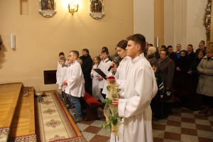 tn IMG 6145