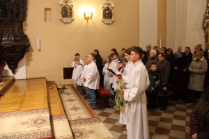 tn IMG 6147