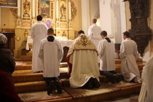 tn IMG 6154