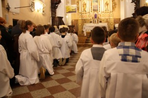 tn IMG 6160
