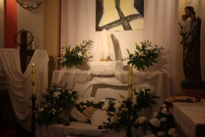 tn IMG 6218