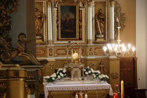 tn IMG 6223