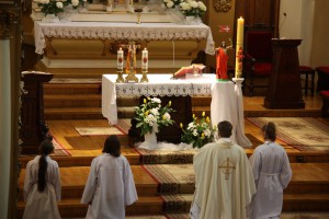 tn IMG 6229