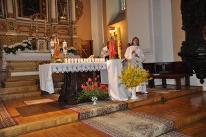 tn dsc 0255
