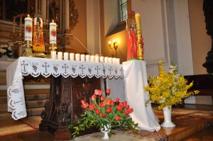 tn dsc 0267