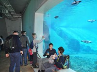Wycieczka mikołajkowa do wrocławskiego oceanarium i zoo '2015